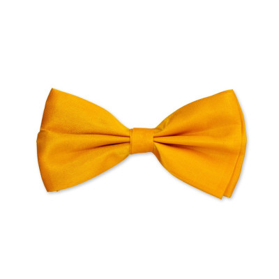 Motýlek pánský - barevný