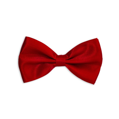 Motýlek pánský - barevný