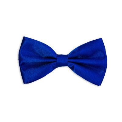 Motýlek pánský - barevný