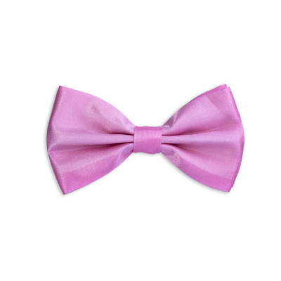 Motýlek pánský - barevný