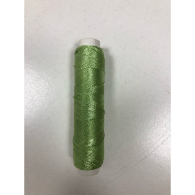 Nit Polyamidova (100m)