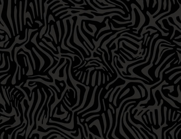 black zebra